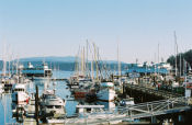 Friday Harbour, San Juan Islands