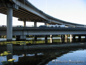 Traffic stopped on SR 520 bridge