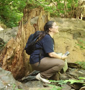 Boulder River Wilderness Area