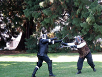 Swordplay at Greenlake Park