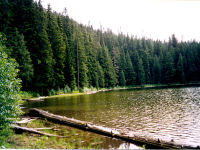 stirrup lake